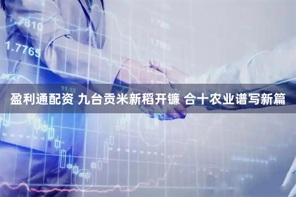盈利通配资 九台贡米新稻开镰 合十农业谱写新篇