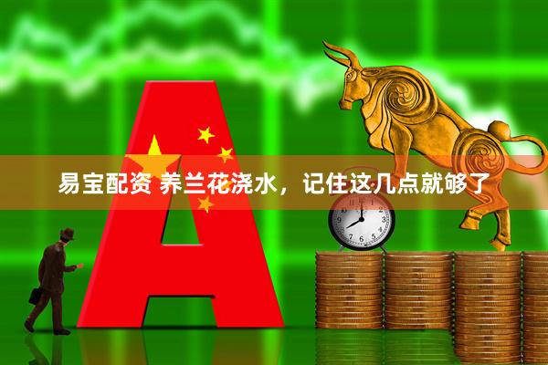 易宝配资 养兰花浇水，记住这几点就够了